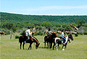 Horseback safaris